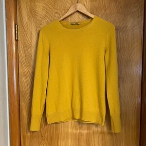 Everlane Classic Crew in Cashmere Mustard Color
